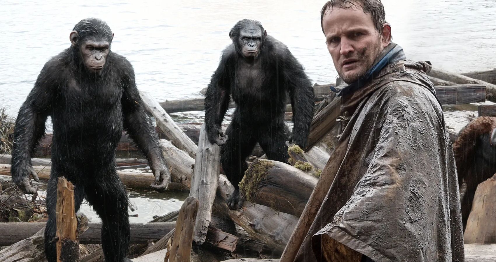The Best Movies About Killer Apes & Monkeys, Ranked