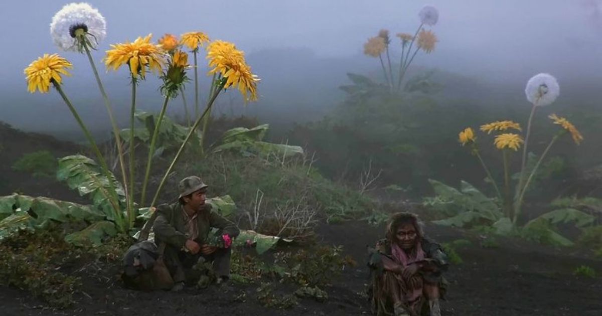 Giant flowers in Akira Kurosawa's Dreams