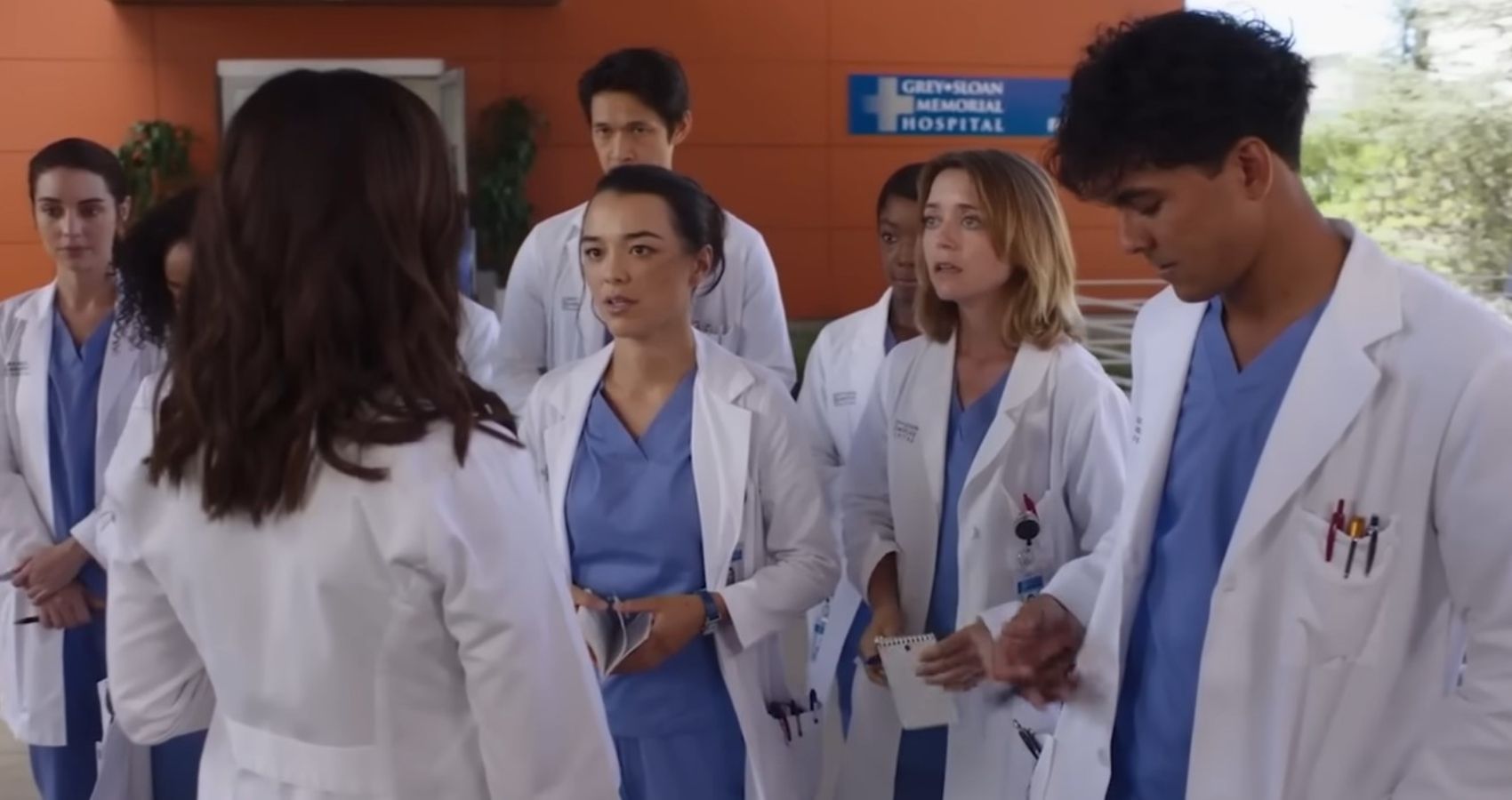 Why Grey's Anatomy Season 19 Will Be About New Beginnings