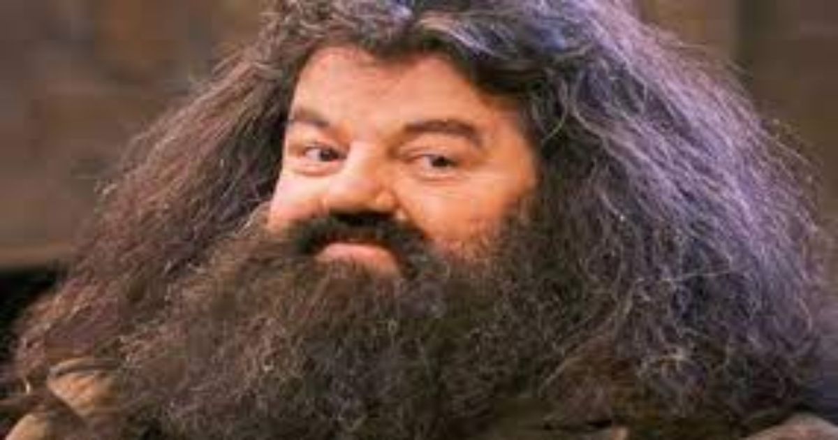 Hagrid (1)