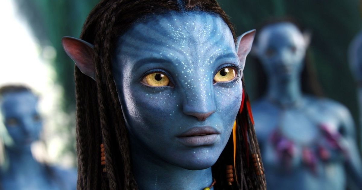 Neytiri Sully in 2023  Zoe saldana avatar, A hat in time, Avatar