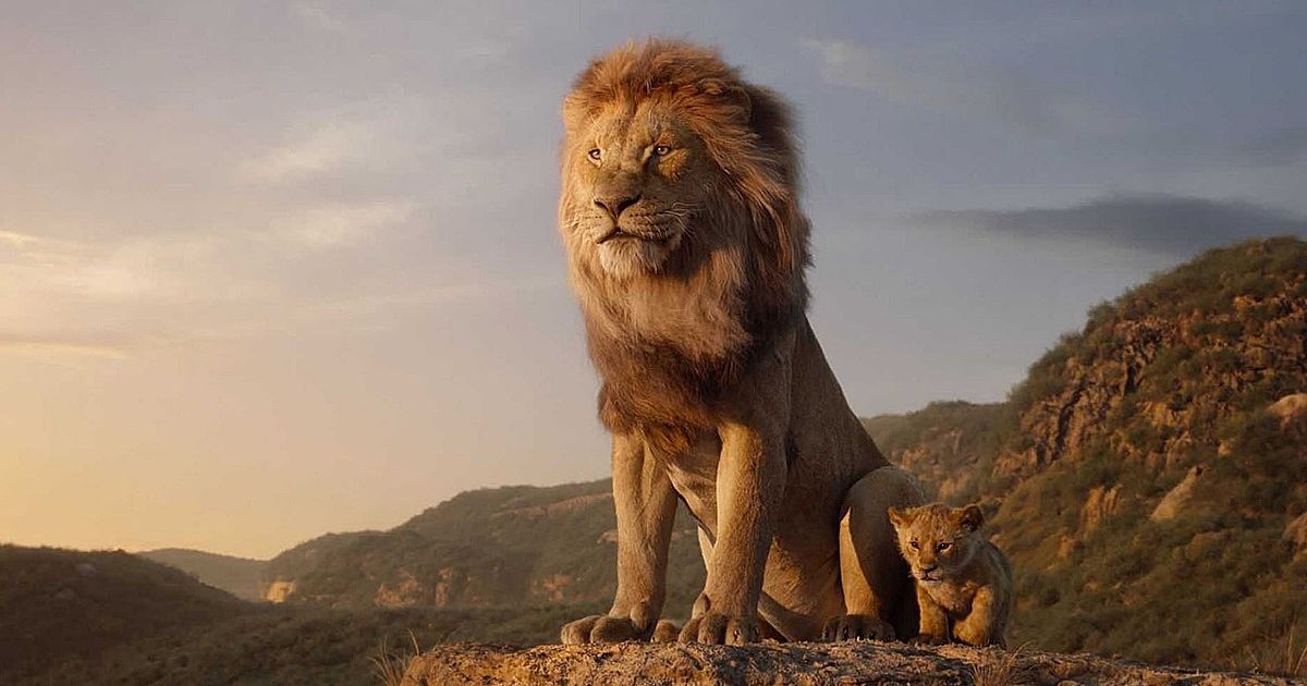 the king lion