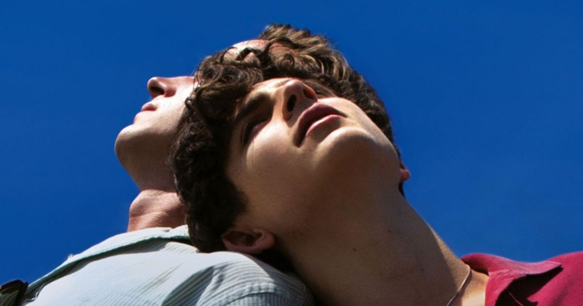 hammer-chalamet-call-me-by-your-name-2017-sony