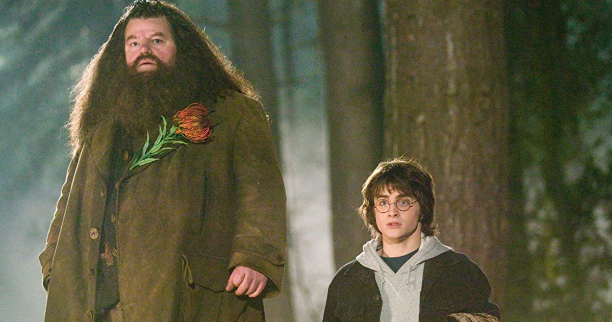 Hagrid & Harry in Harry Potter & the Goblet of Fire