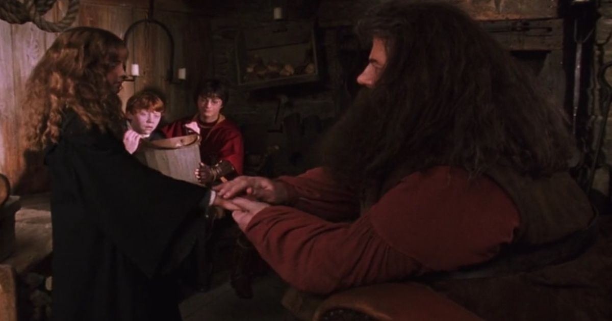 Harry Potter Hagrids Best Moments In The Franchise Ranked