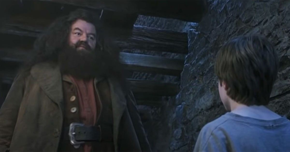 Harry Potter Hagrids Best Moments In The Franchise Ranked
