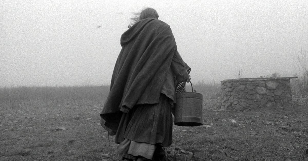 The 2011 Hungarian philosophical drama The Turin Horse