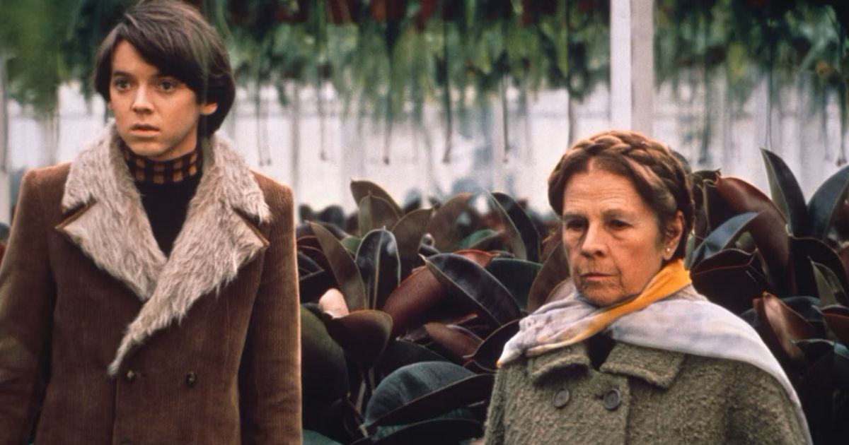 Harold and Maude in the love story movie