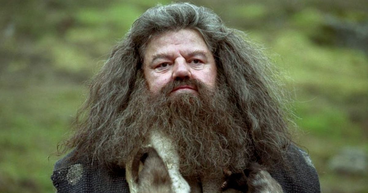 Robbie Coltrane as Hagrid in Harry Potter