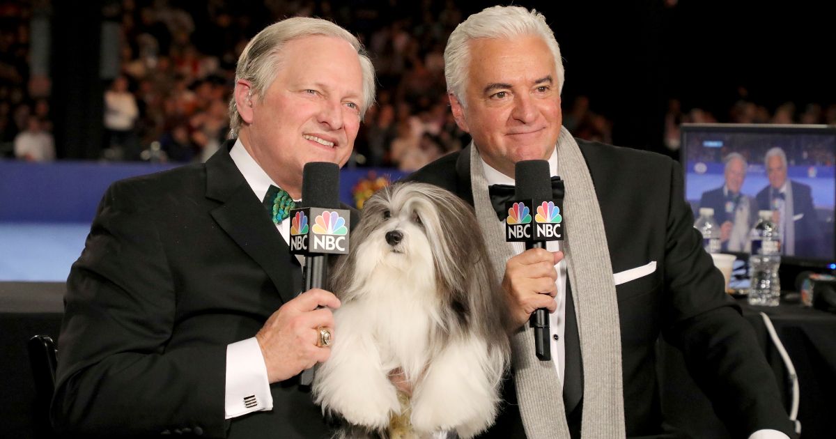 John Hurley on The National Dog Show on NBC Peacock