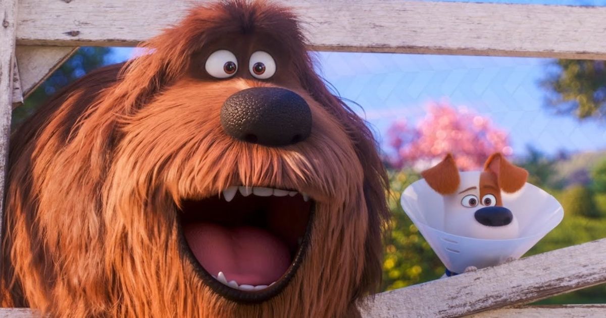 A scene from The Secret Life of Pets.