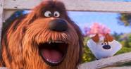 The Most Essential Animated Dog Movies Ranked