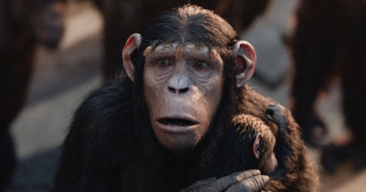 William H. Macy Joins the Cast of Kingdom of the of the Apes