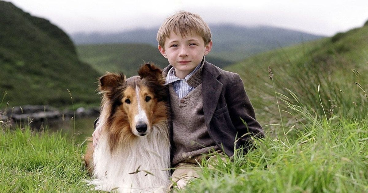 A scene from Lassie (2005)