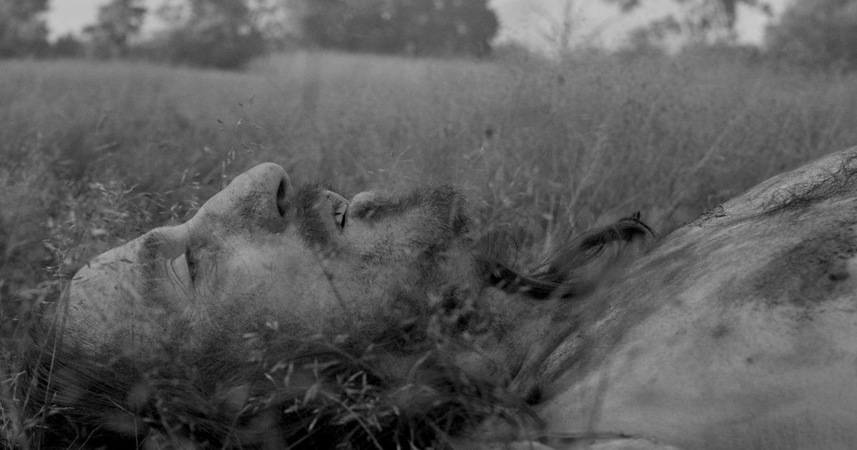 A Field in England movie