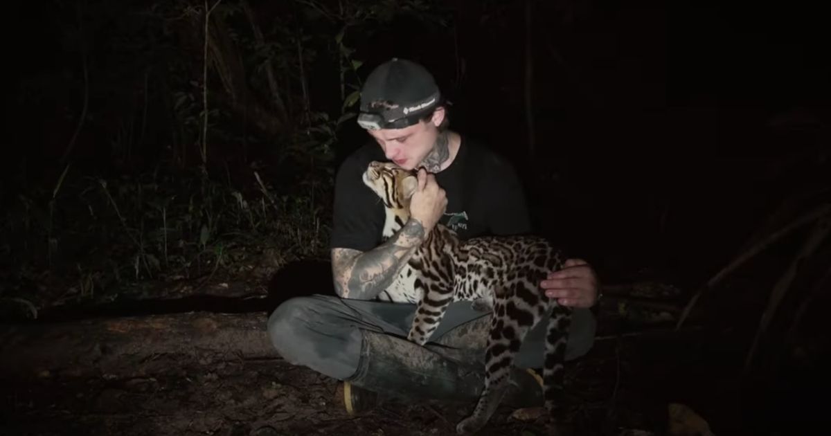 Amazon movie Wildcat with Harry and the ocelot at night