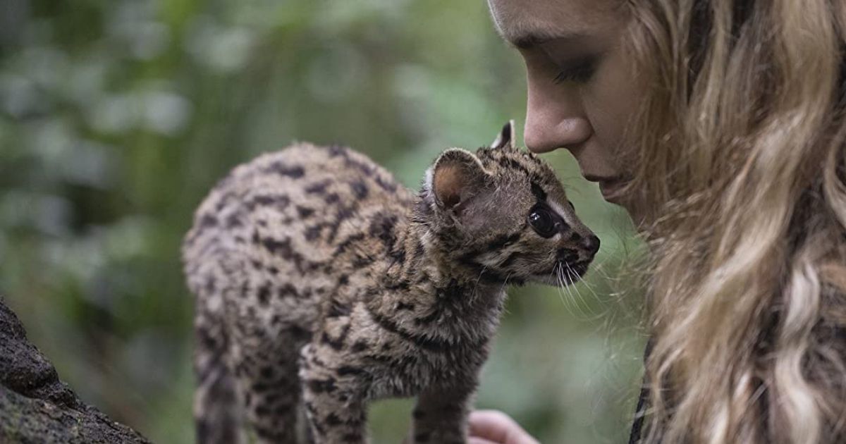 Amazon movie Wildcat with Samantha and the ocelot