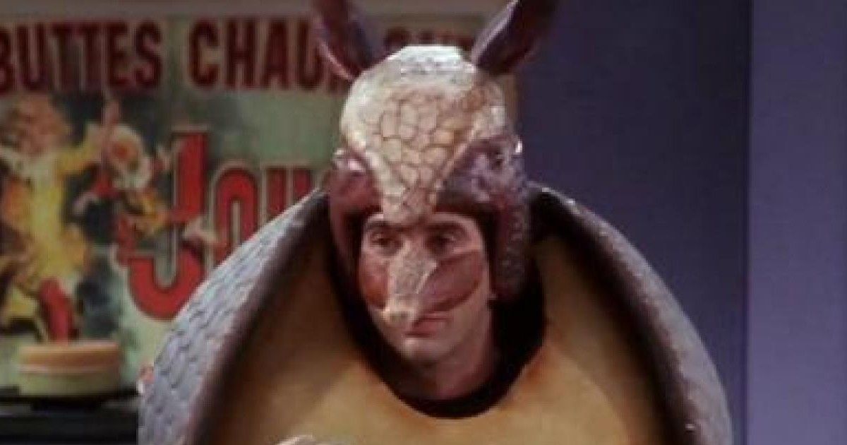 Holiday armadillo hanukkah