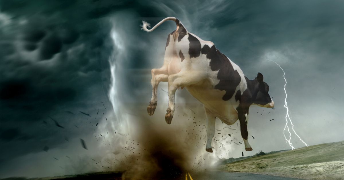 Cow flying through tornado in the movie Twister