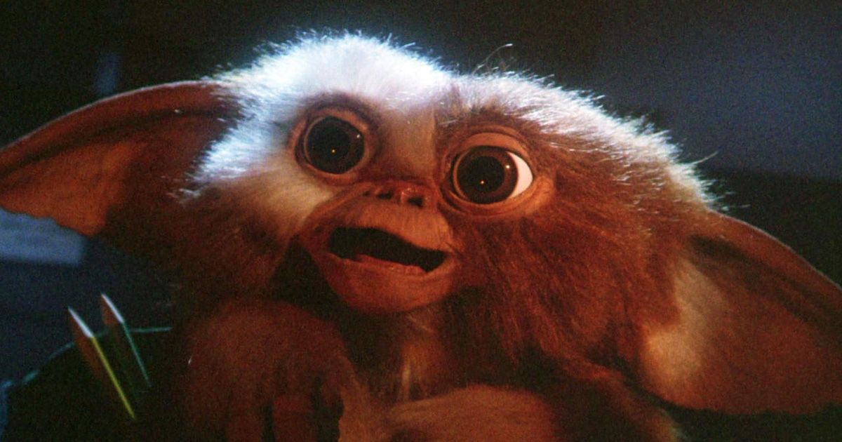 A Mogwai in Gremlins.