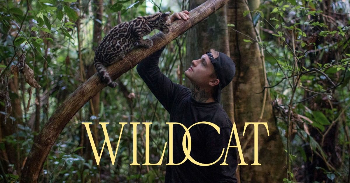 Amazon documentary movie Wildcat with Harry and the ocelot