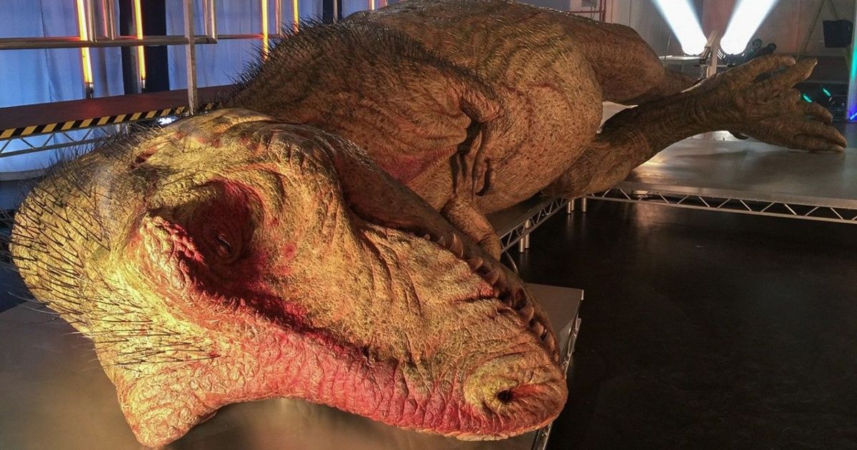 The fake model of a T. Rex laid out and ready for its autopsy