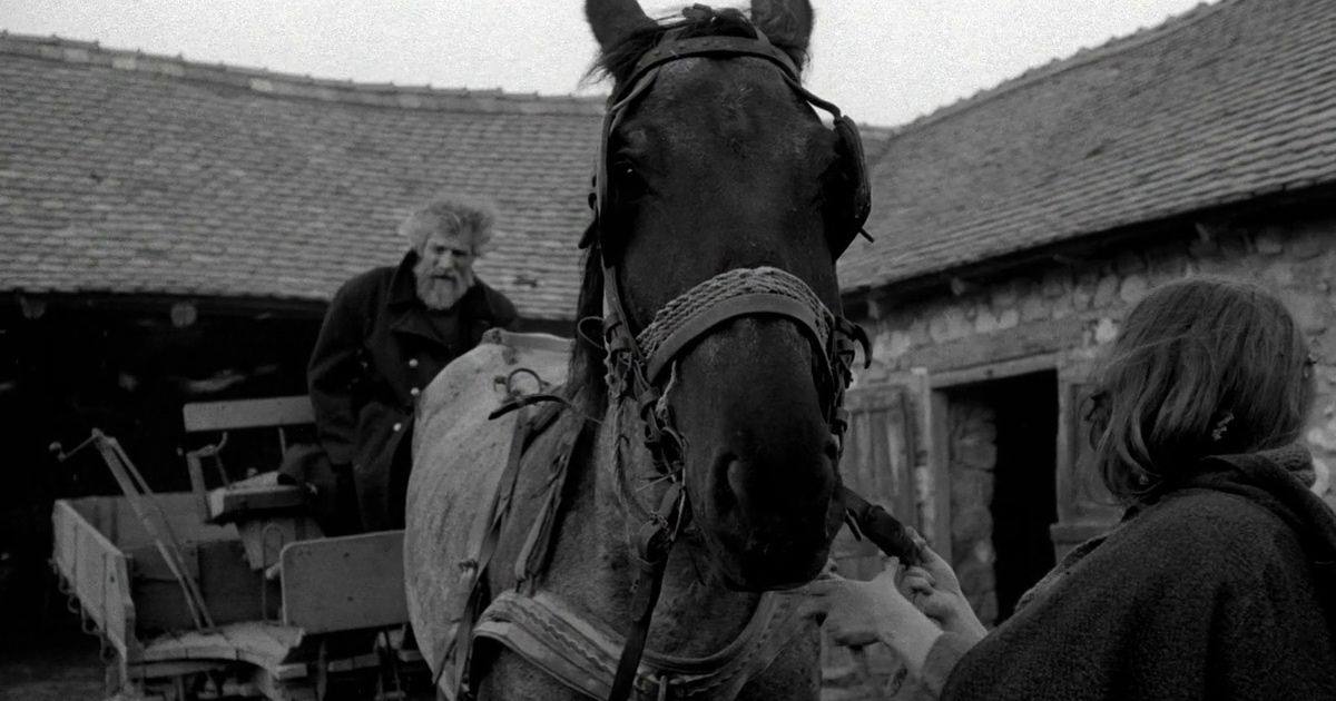 O Cavalo de Turim de Béla Tarr