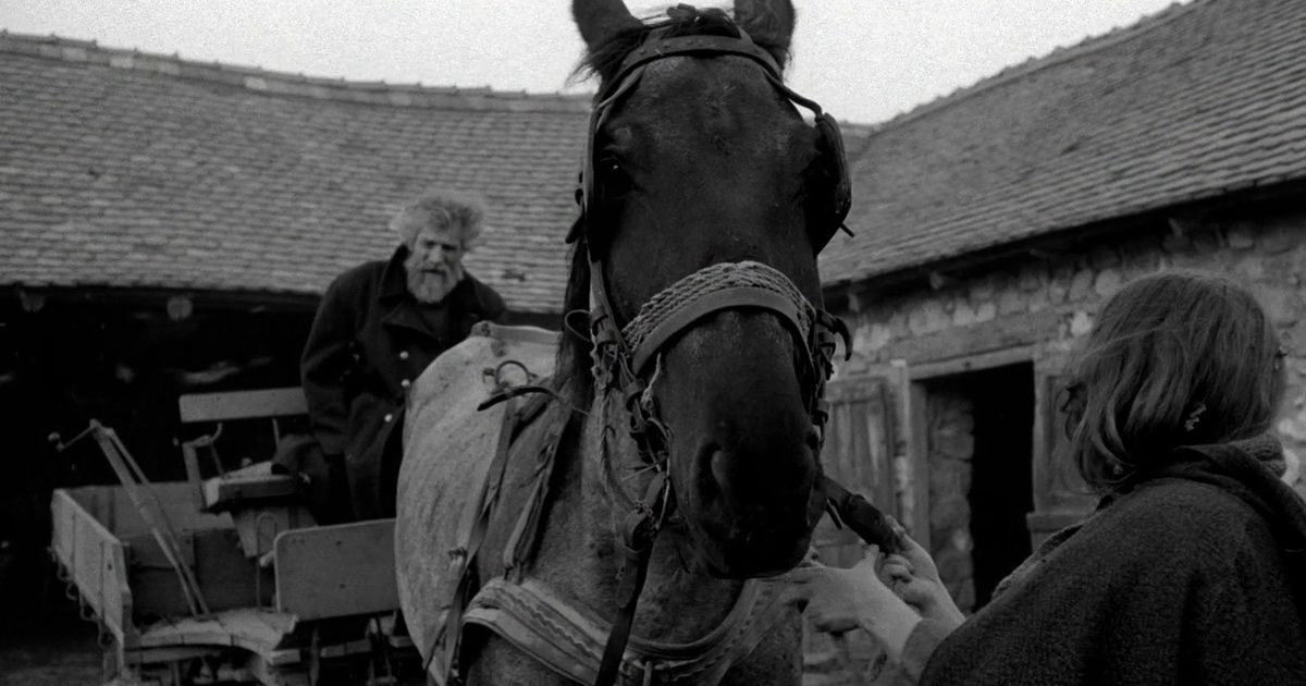 The Turin Horse by Béla Tarr