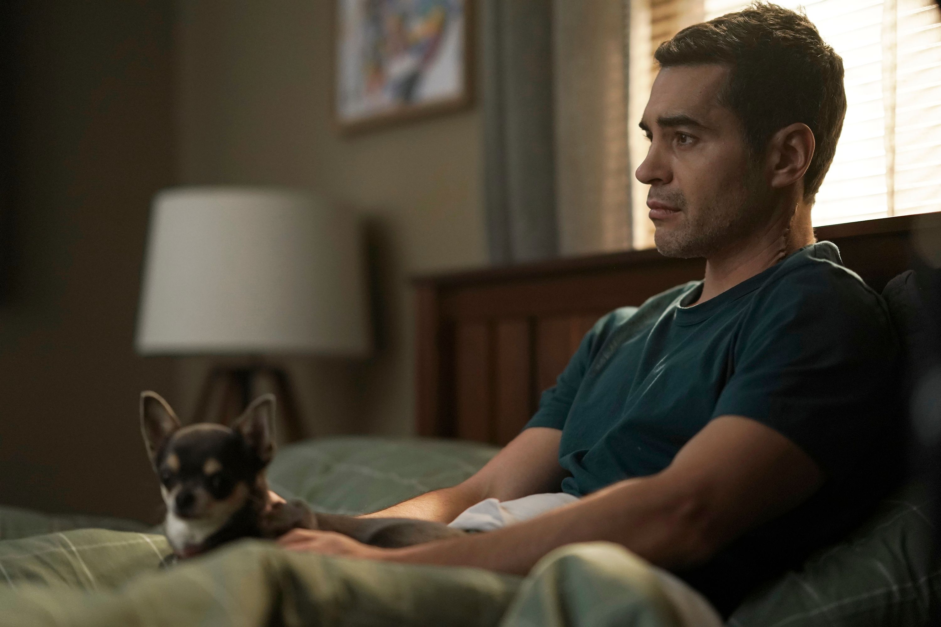 abc-unveils-new-images-of-will-trent-sidekick-betty-the-chihuahua