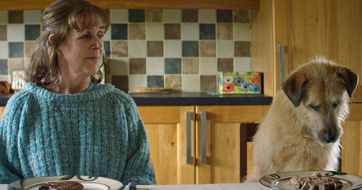 How the Róise Frank Trailer Shows Love Reincarnated How the Róise Frank Trailer Shows Love Reincarnated