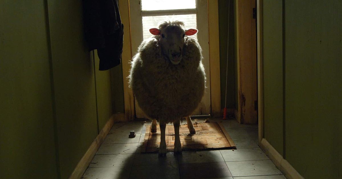 The 2006 New Zealand comedy horror Black Sheep