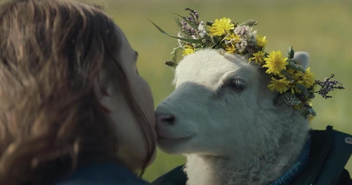 a lamb nuzzles a woman's face in Lamb