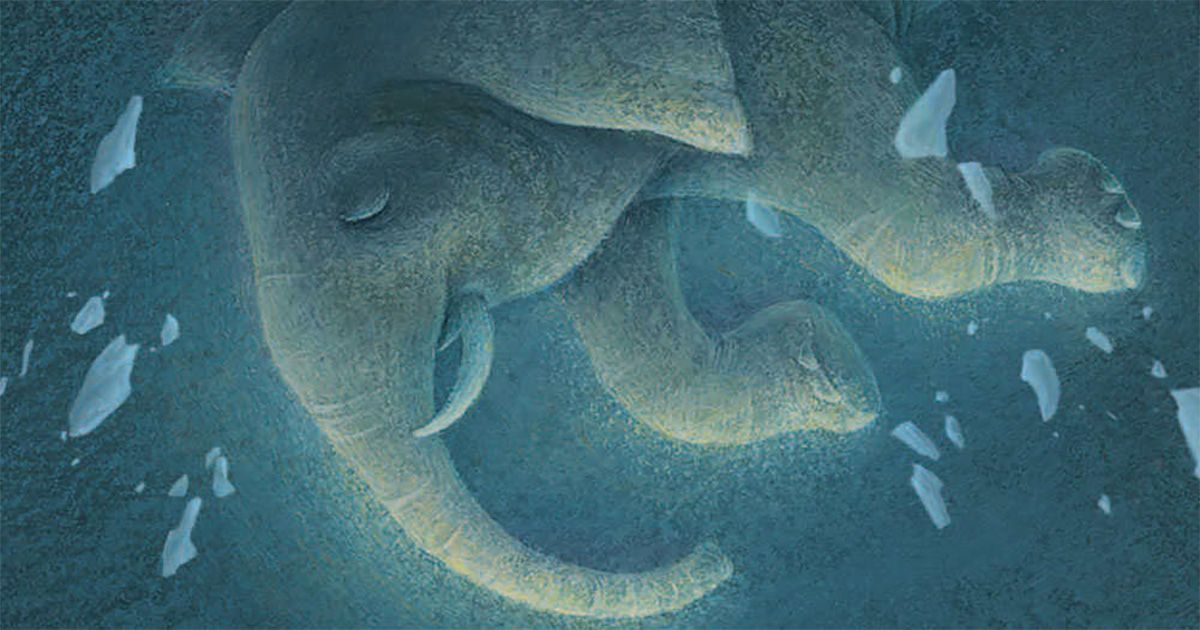 Magicians_Elephant_Book_2009_Candlewick