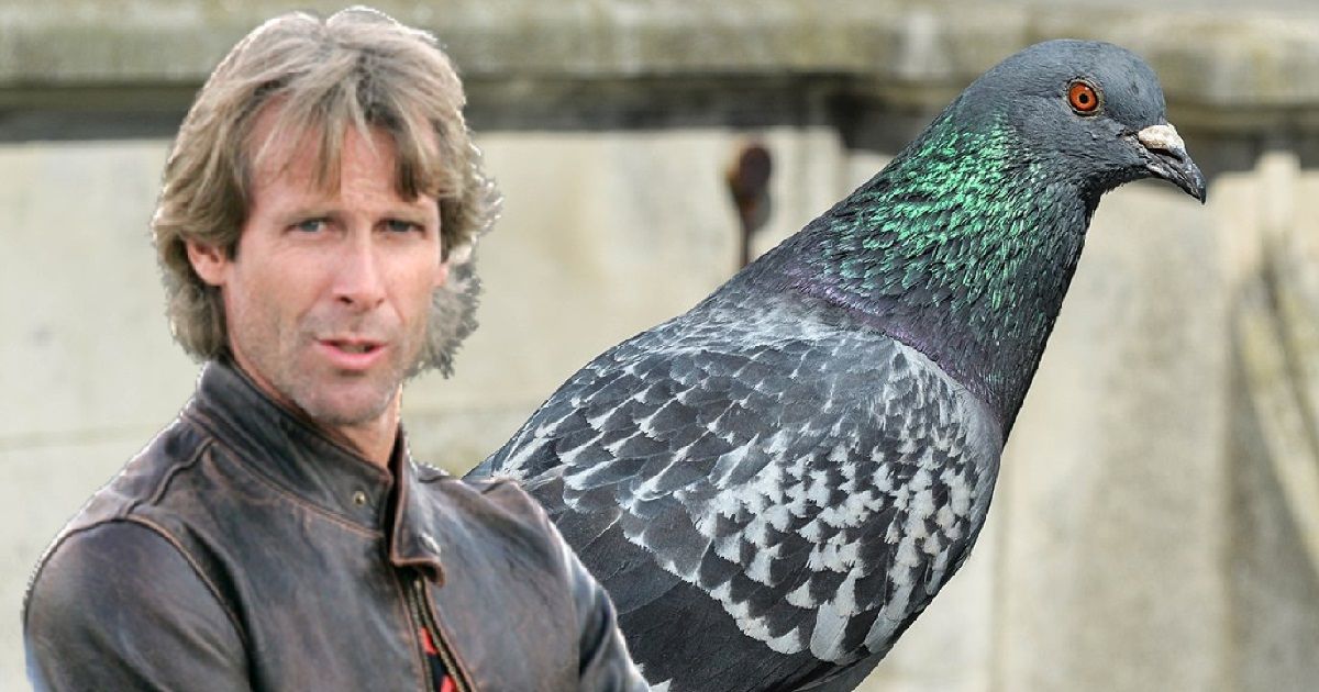 Did Ryan Reynold's 6 Underground Director Michael Bay Kill A Pigeon On The  Sets? Filmmaker Dismisses The Accusation, I'm A Well-Known Animal Lover