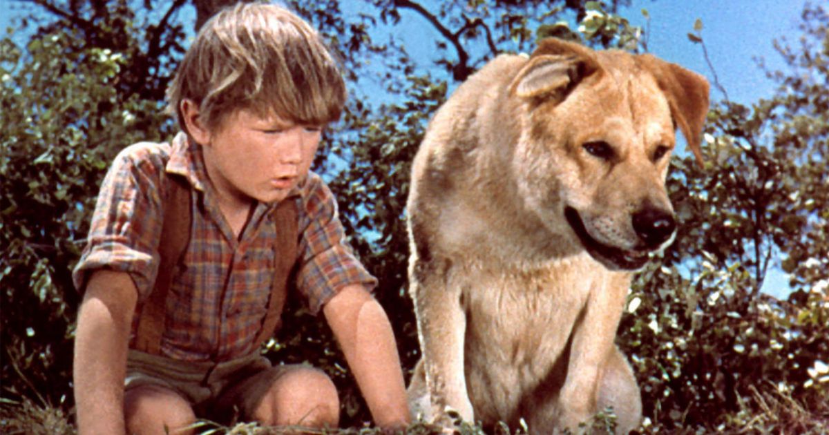 Old disney best sale movies with dogs