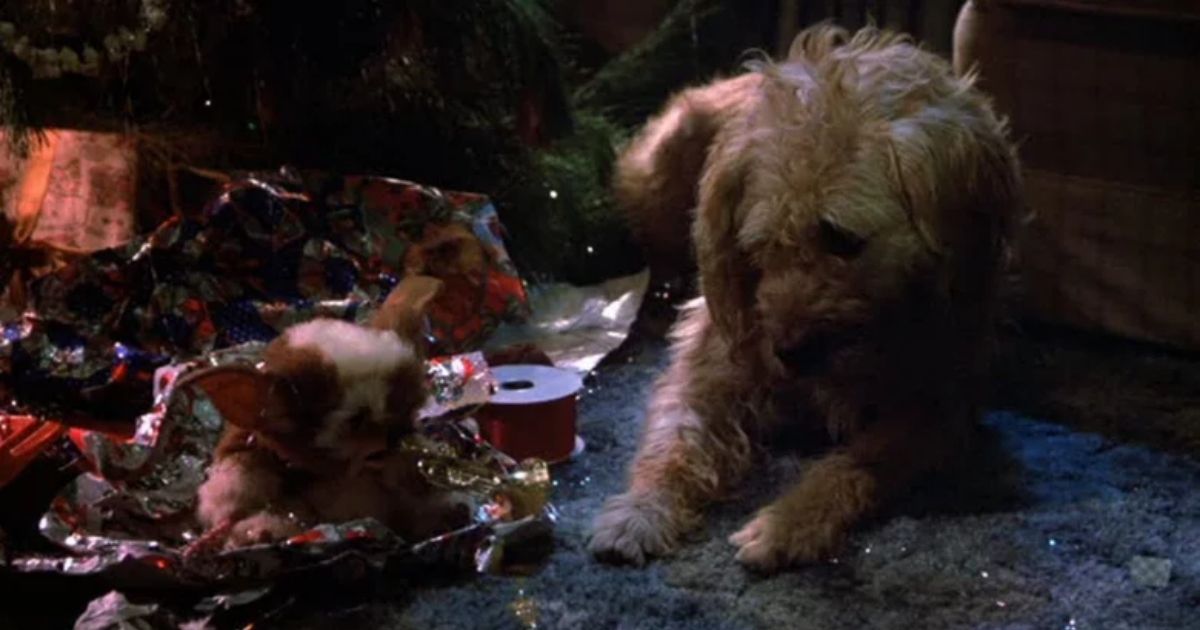 Gizmo in Gremlins