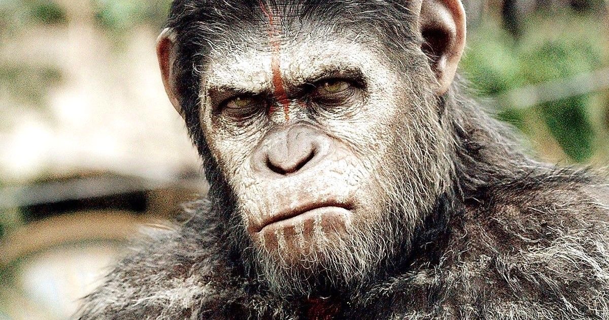 Kingdom of the of the Apes Wraps Filming, Director Shares Behind