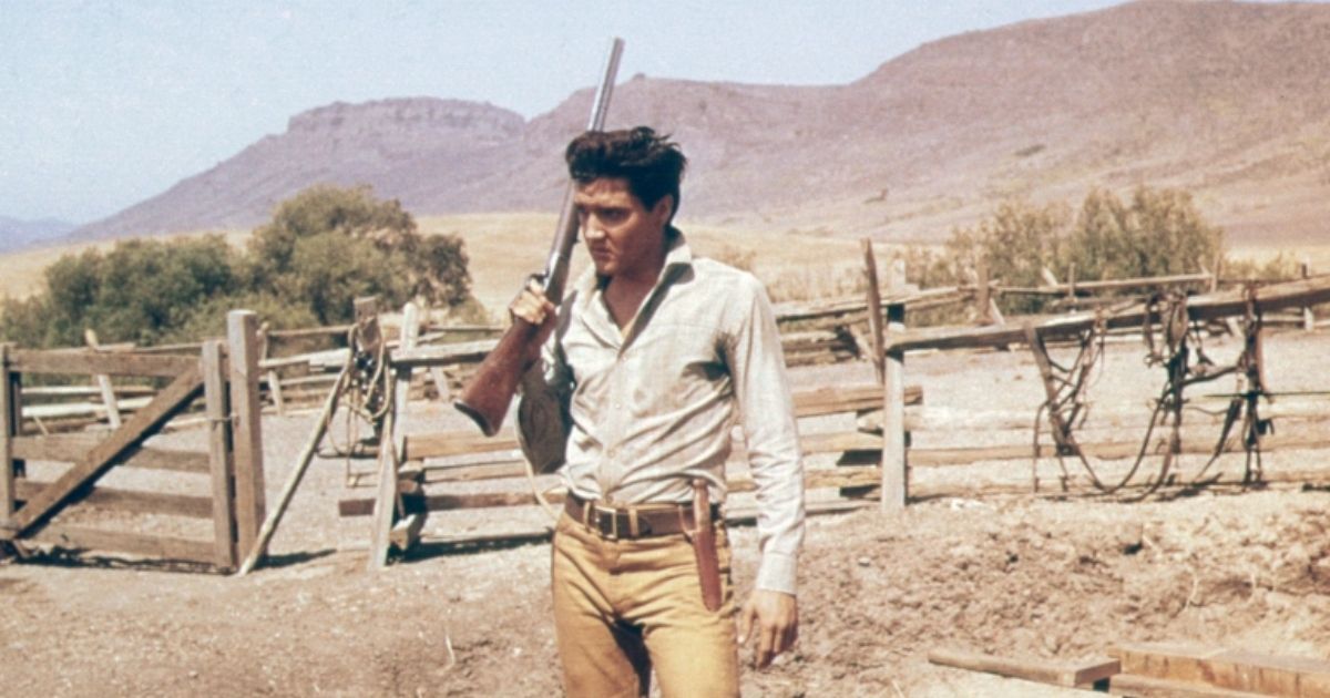 Best Elvis Presley Movies, Ranked