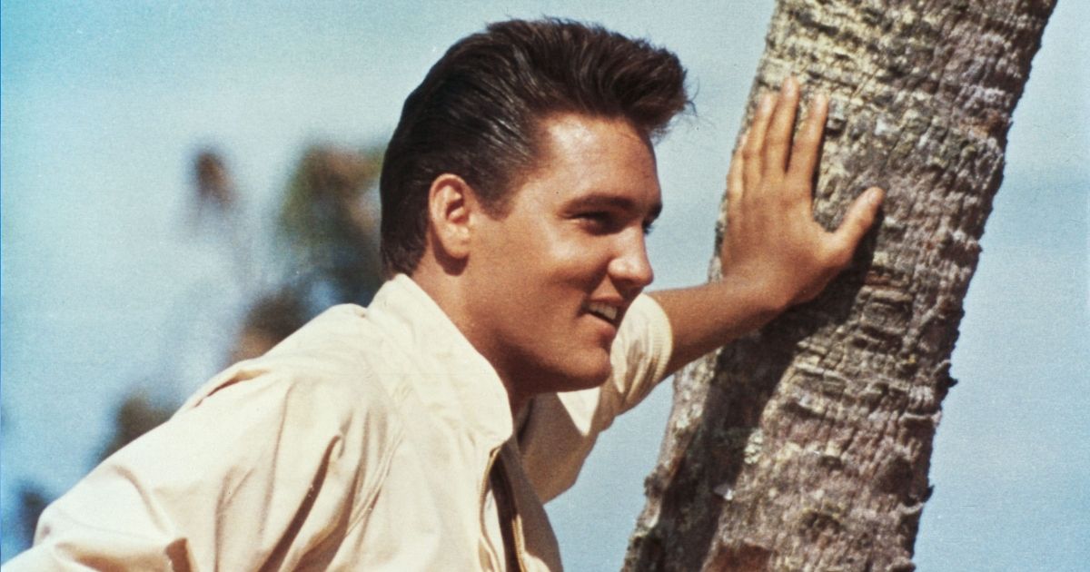 Best Elvis Presley Movies, Ranked