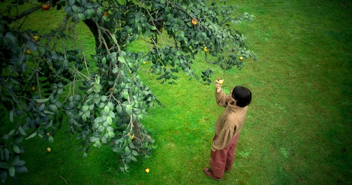 Harper Marlowe picking apples from a tree