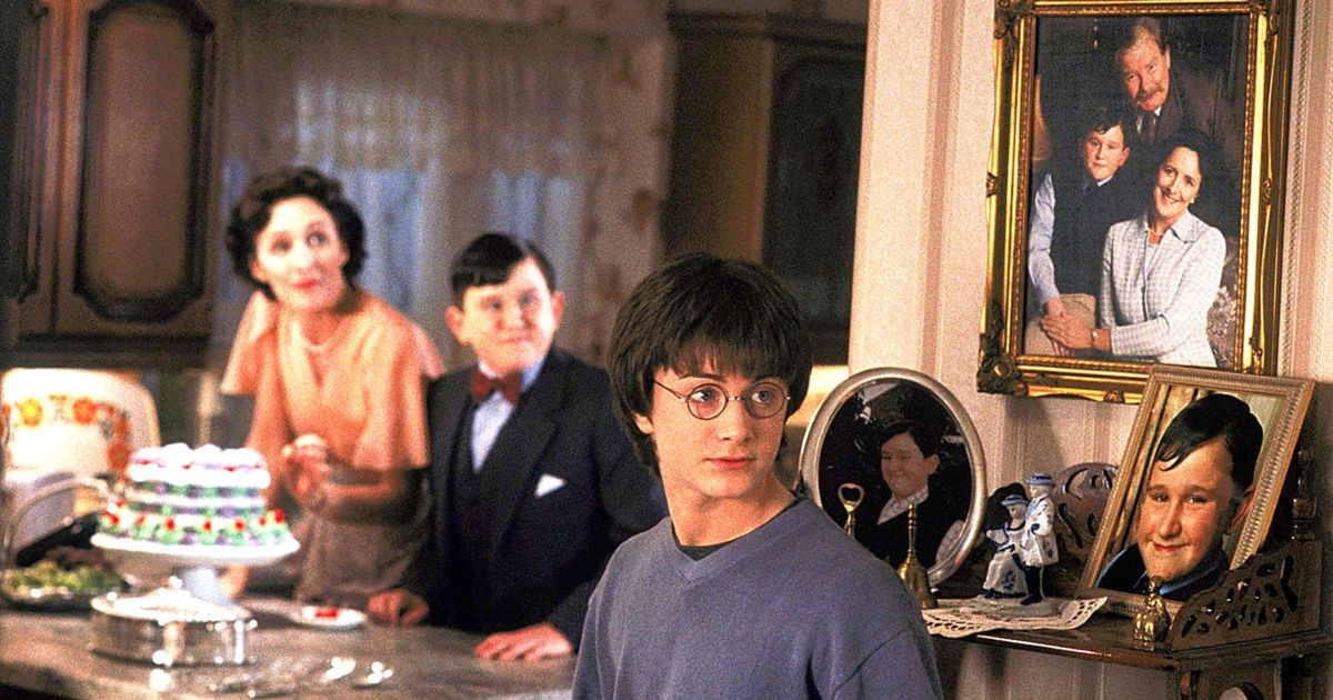 Harry Potter and his family the Dursleys