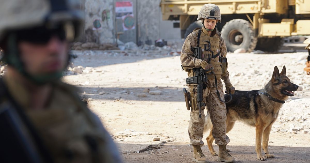 A scene from Megan Leavey