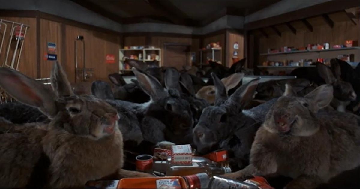 Night of the Lepus Rabbits 1972