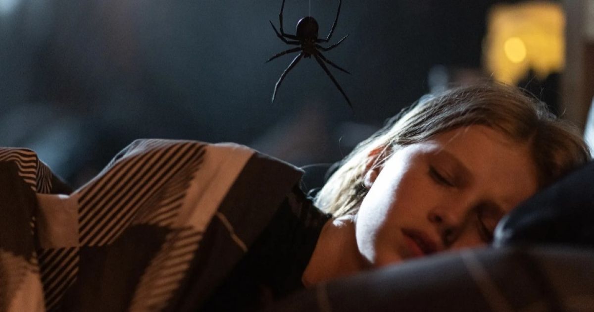 Sting Reveals First Look at Spider Horror Movie Featuring Alyla Browne