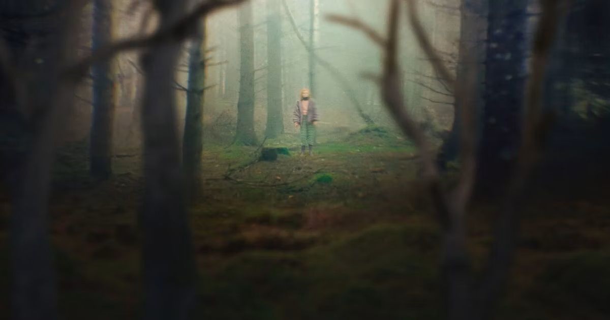 A person in the distance in the woods in The Chestnut Man