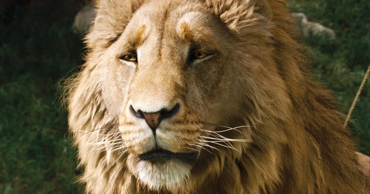 Sad Aslan, the Lion King in The Chronicles of Narnia. 