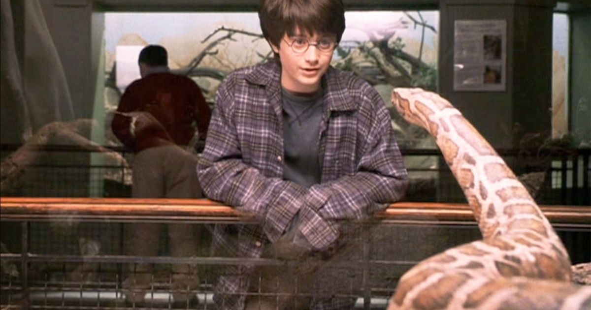 Harry Potter and the Snake (1)