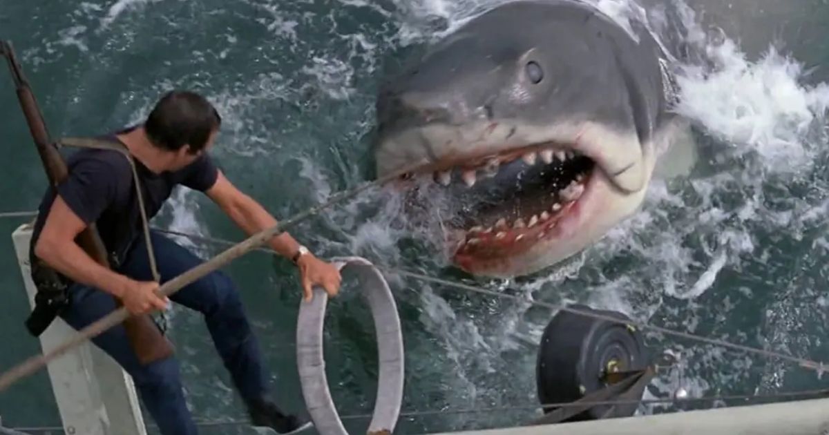 Roy Scheider fighting off a shark in Jaws