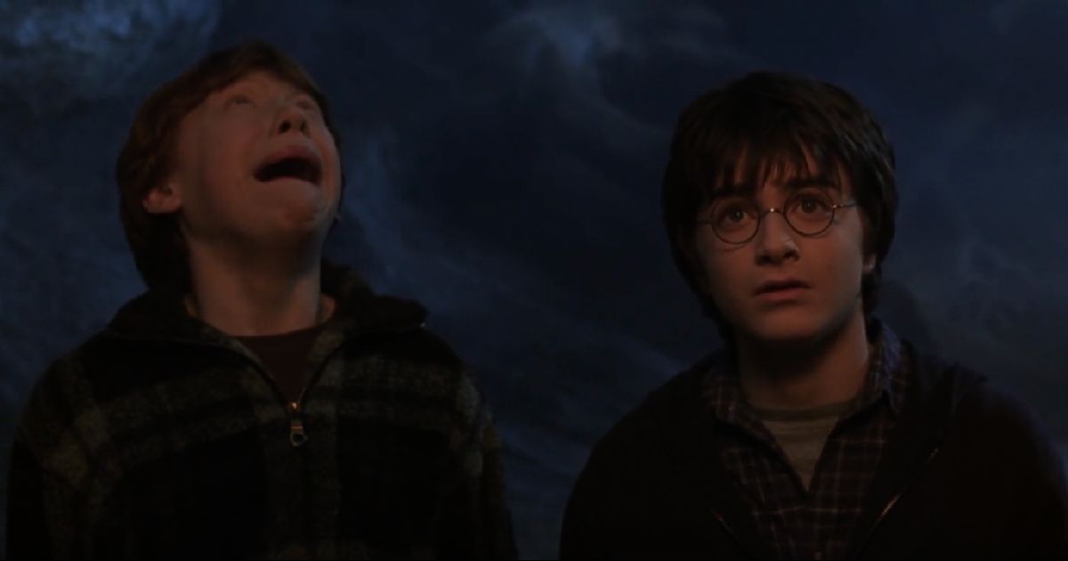 Harry and Ron afraid of Spiders, Chamber of Secrets