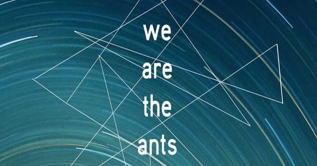 we are the ants